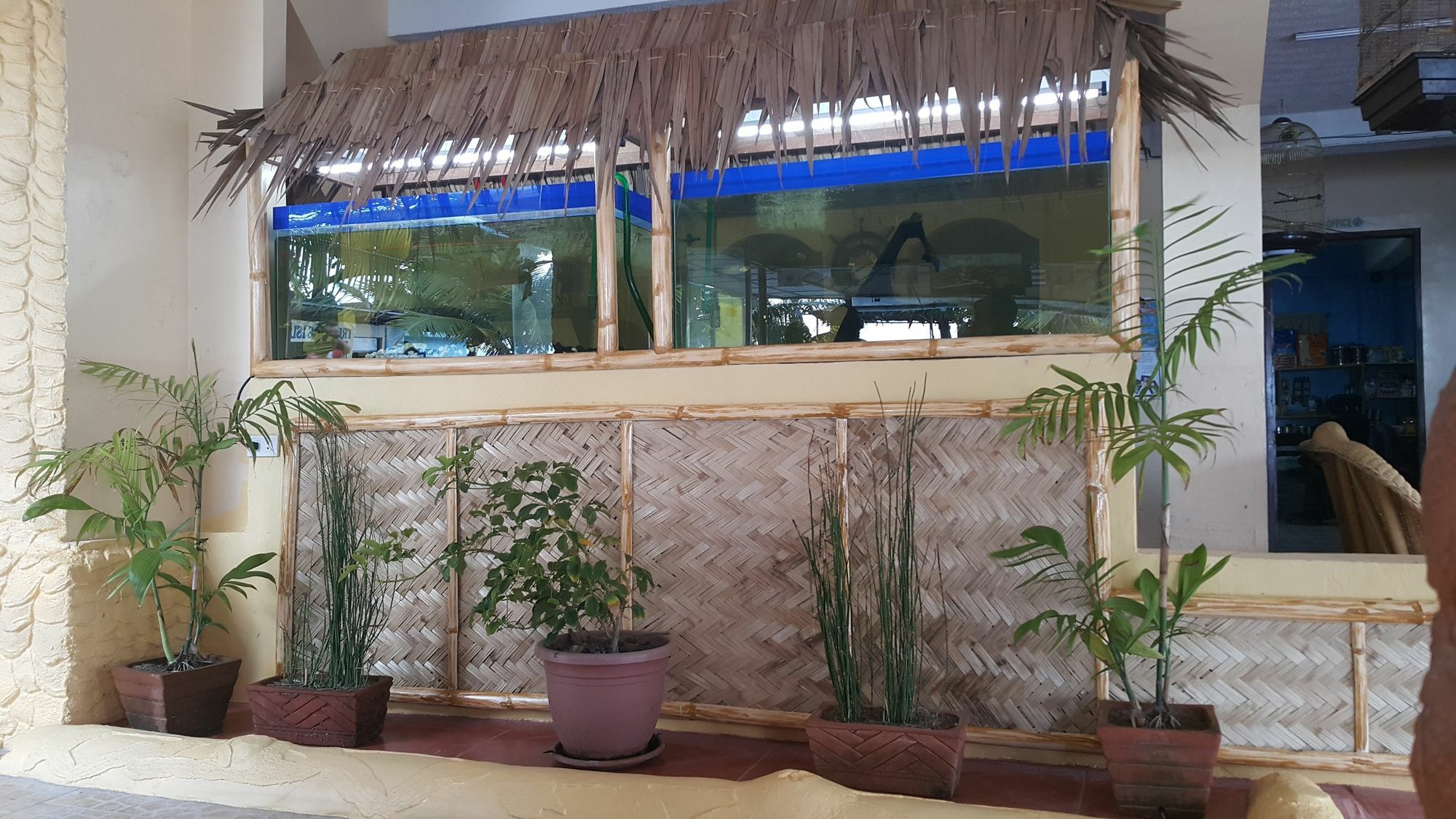 Treasure Island Resort Olongapo Exteriér fotografie
